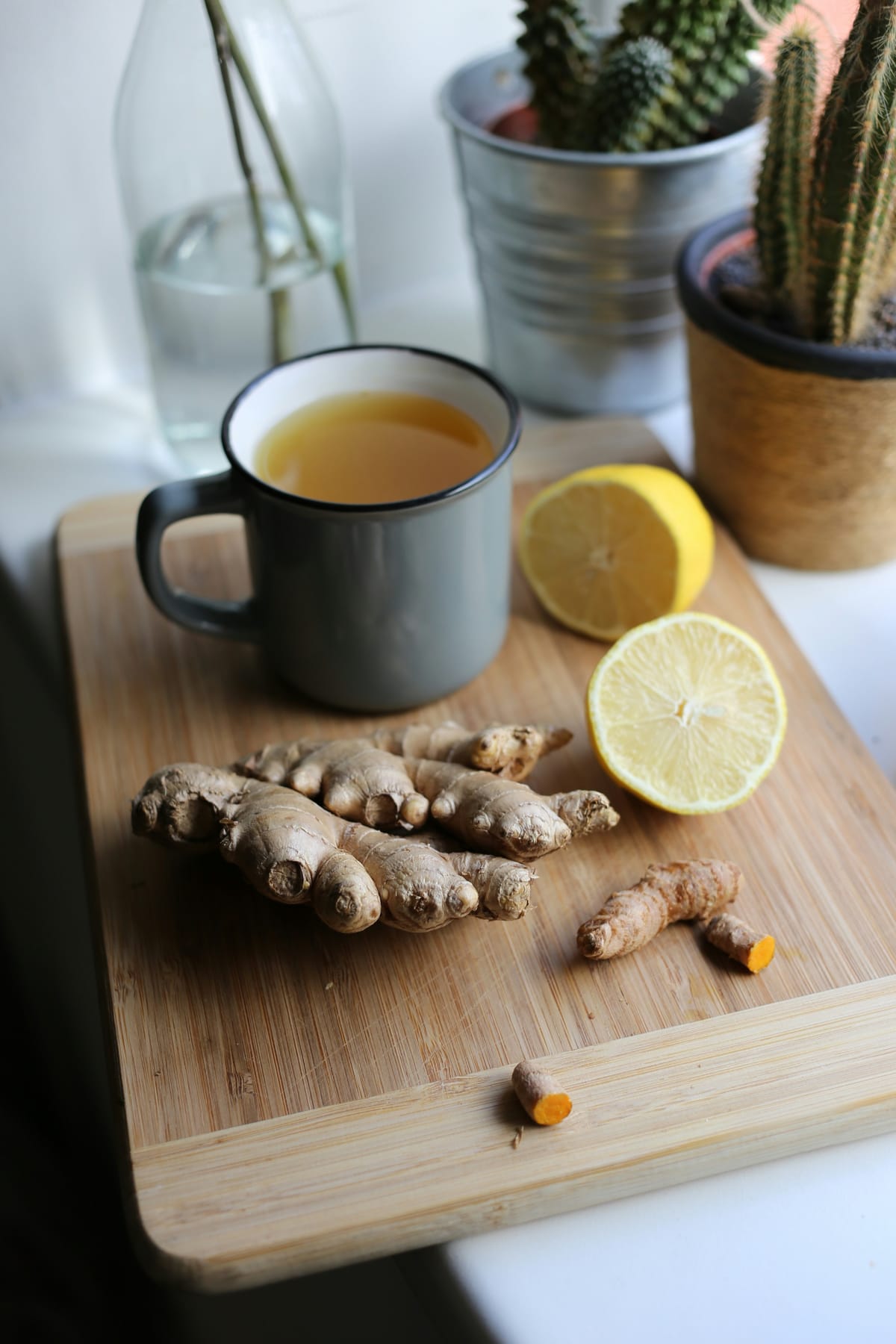 Ginger Beer Maison : Recette Facile et Bienfaits Insoupçonnés pour la Santé