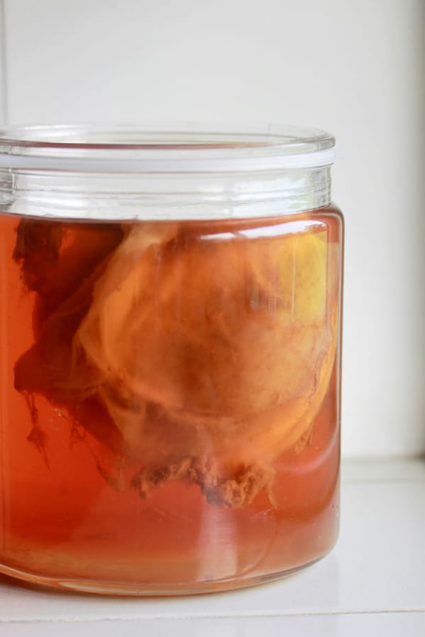 Kombucha maison : recette facile pour débutants